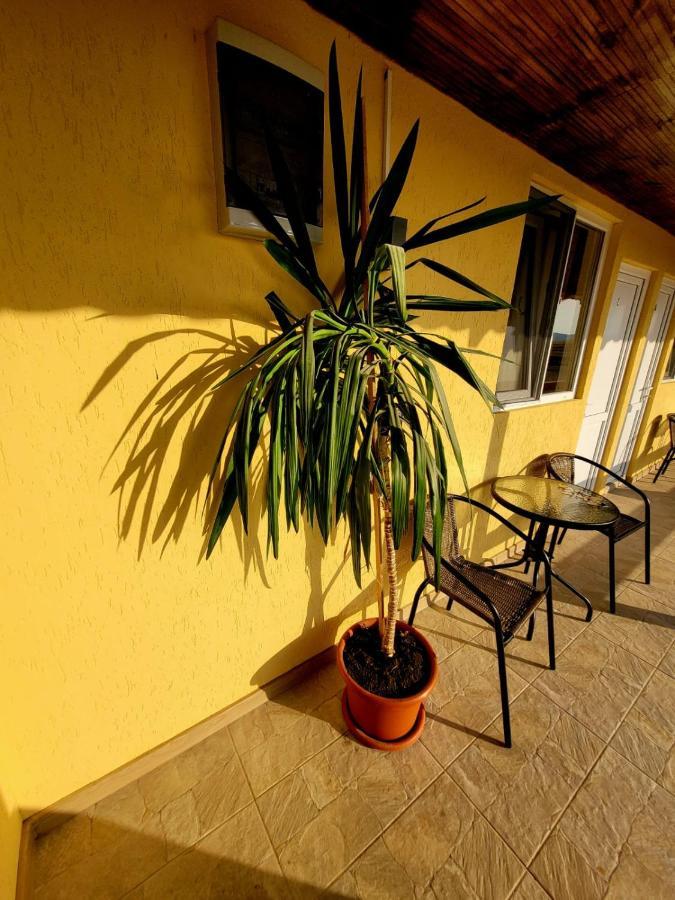 Cabana Varad Coronini Moldova Veche ภายนอก รูปภาพ