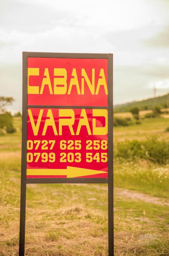 Cabana Varad Coronini Moldova Veche ภายนอก รูปภาพ